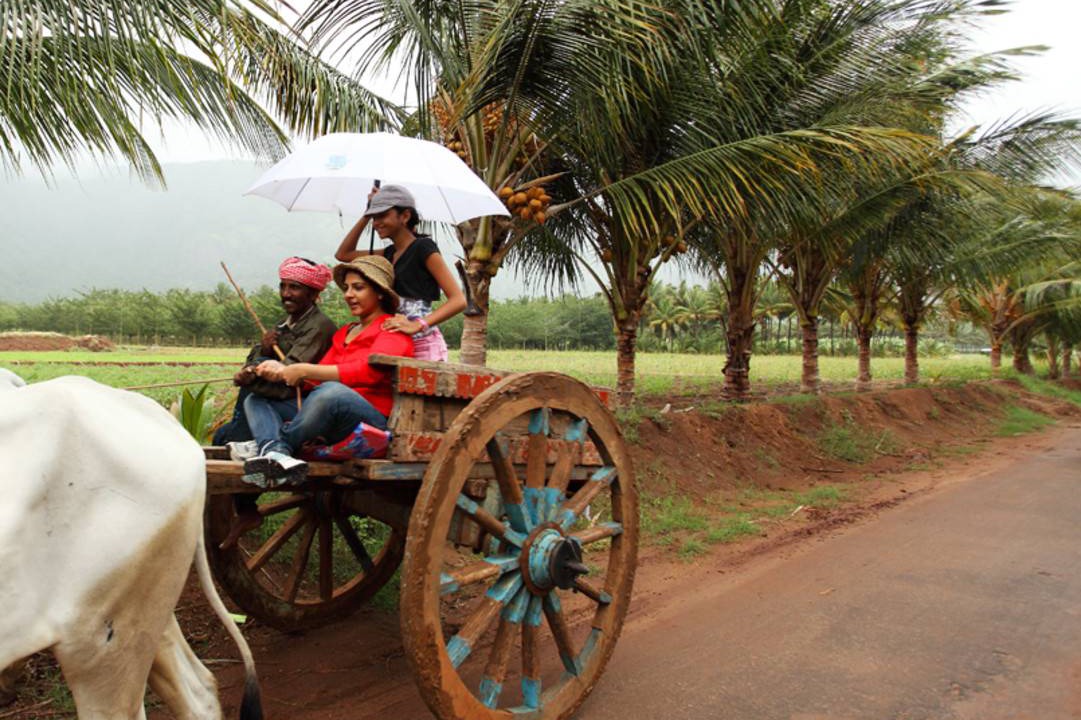Photo of Others in Thekkady