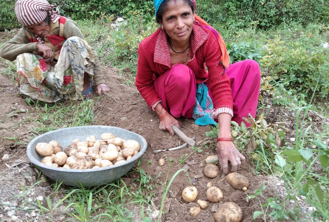 Photo of Others in Ukhimath
