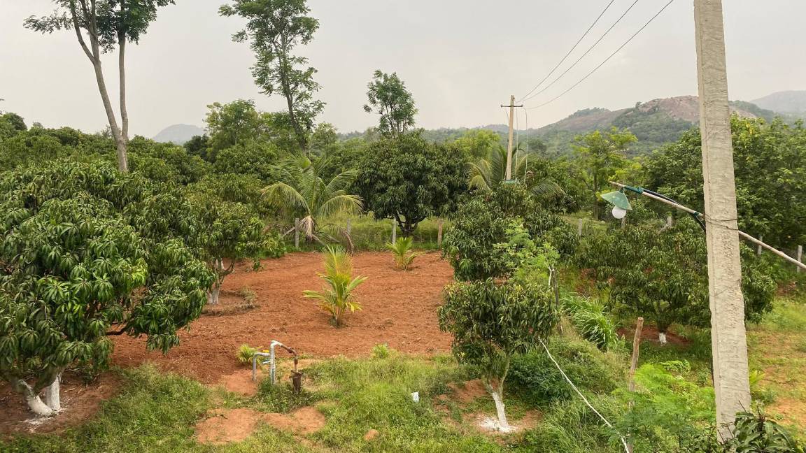 Photo of Outdoor in Manchanabele