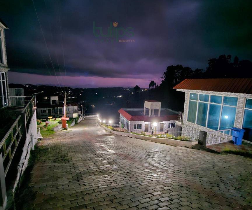 Photo of Others in Ooty
