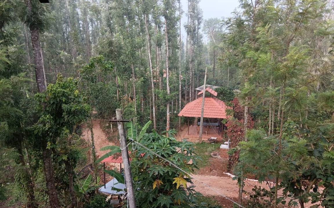 Photo of Others in Chikkamagaluru