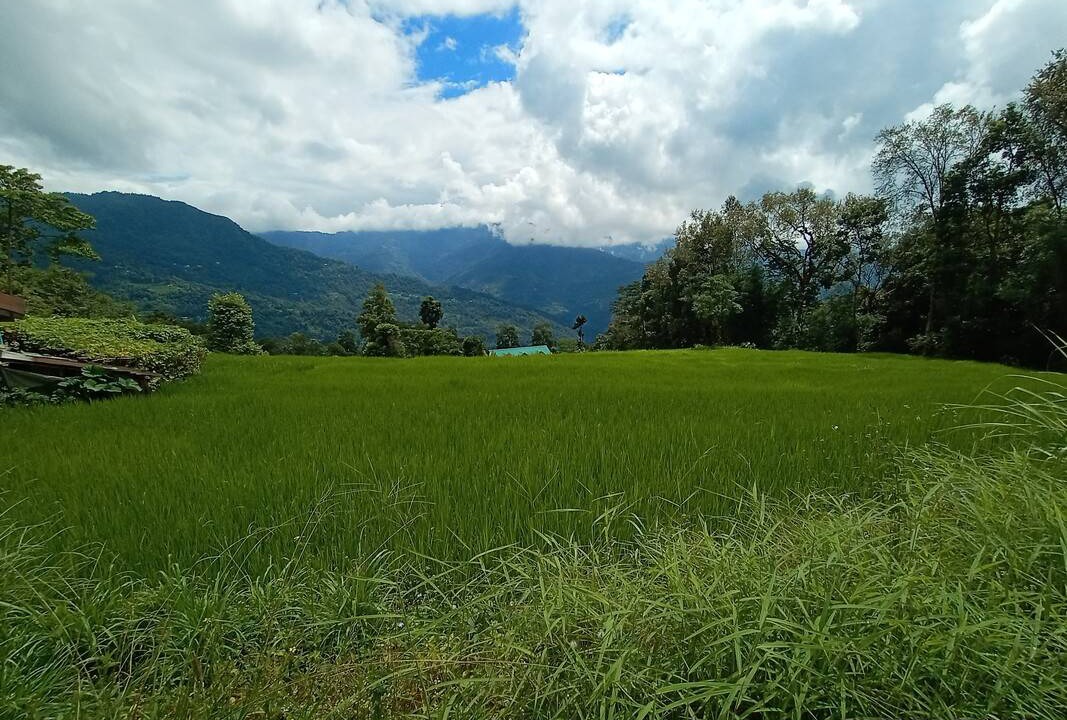 Photo of Others in Kalimpong