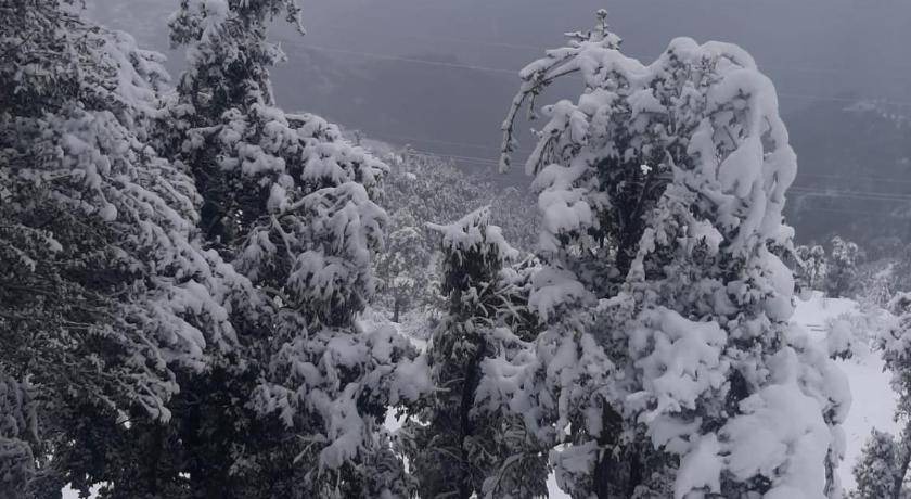 Photo of Others in Kanatal