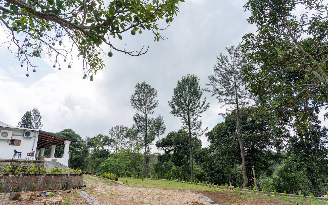 Photo of Others in Yercaud