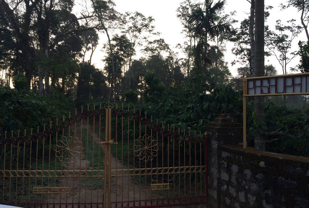 Photo of Others in Virajpet