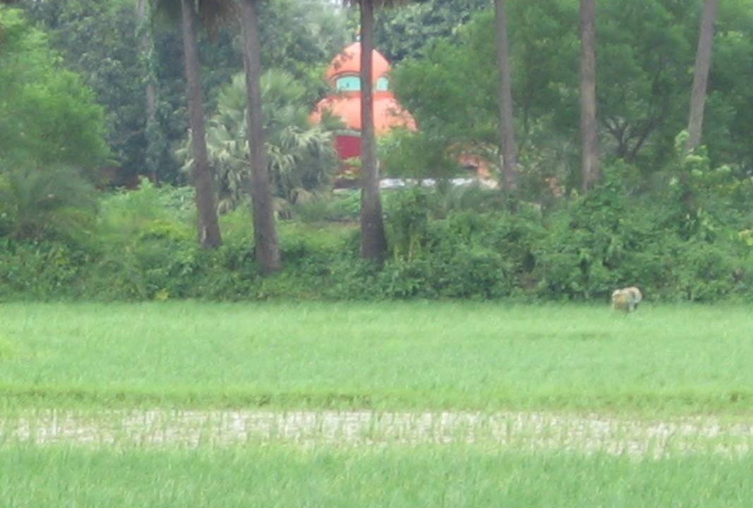 Photo of Others in Chalsa