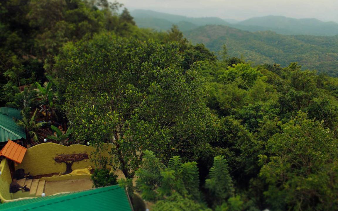 Photo of Others in Thekkady