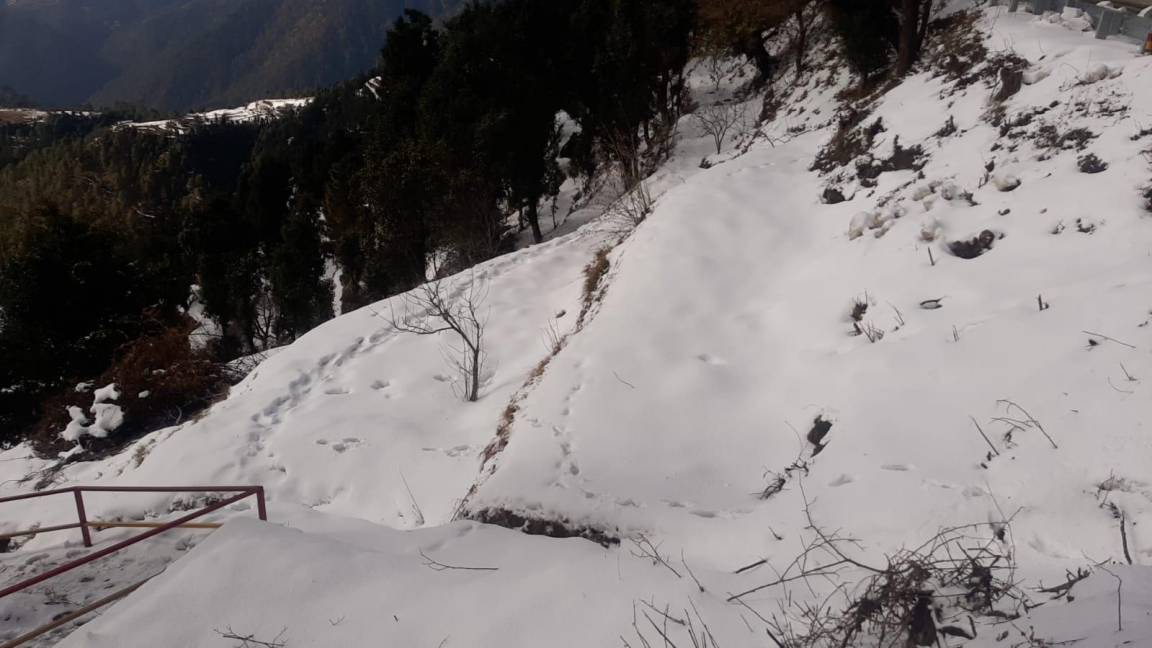 Photo of Others in Kanatal