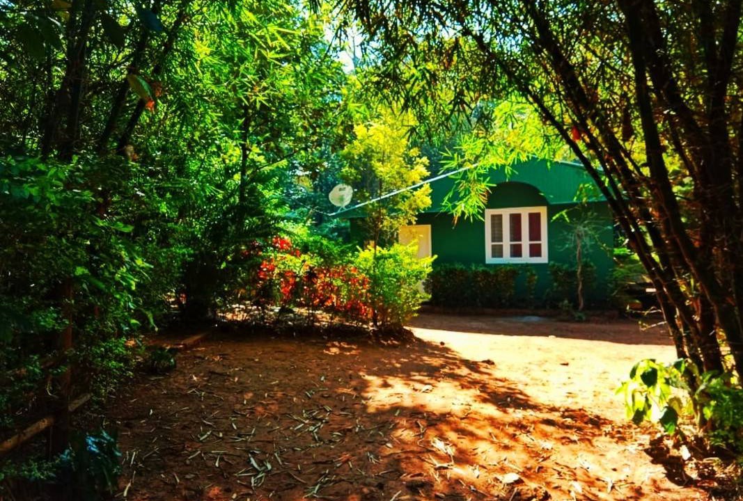 Photo of Others in Vayittiri