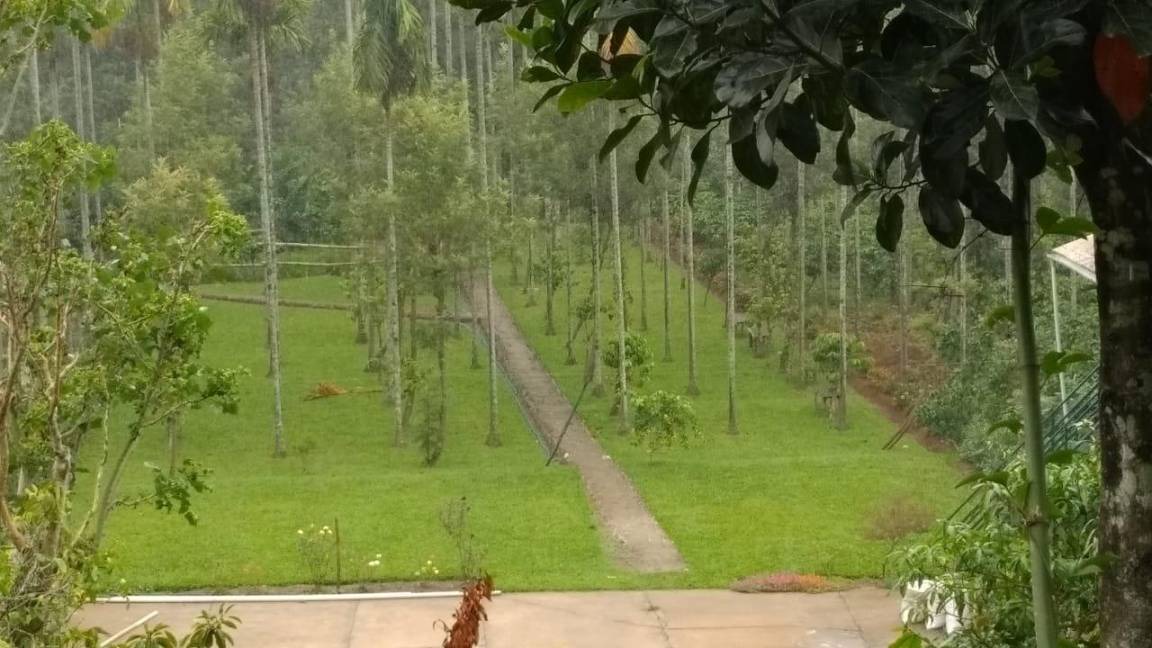 Photo of Others in Mudumalai