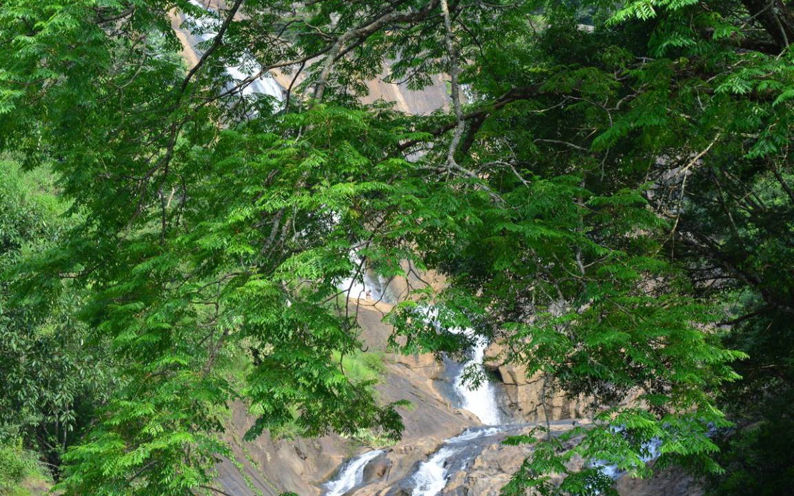 Photo of Others in Ramakkalmedu