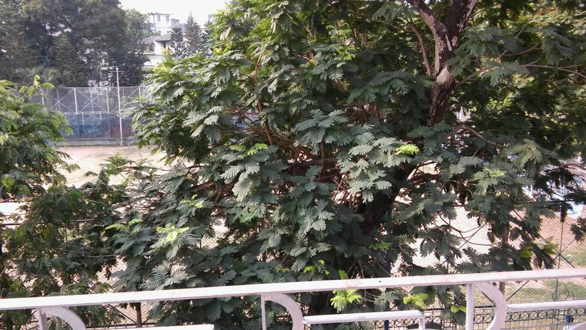 Photo of Others in New Alipore