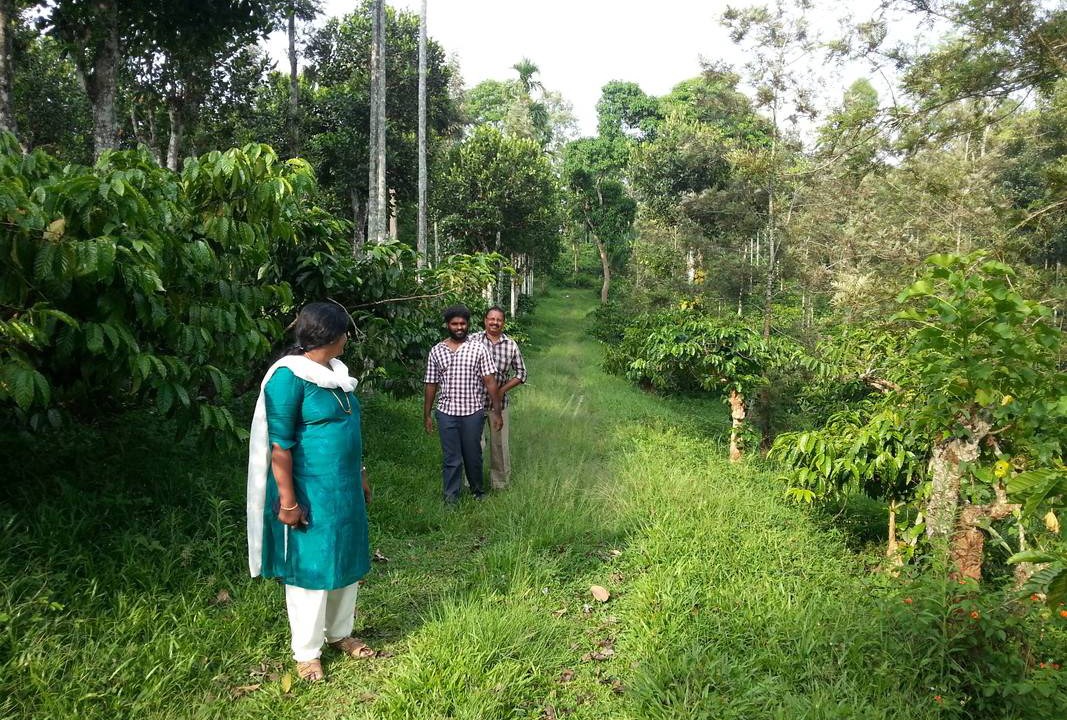 Photo of Others in Sulthan Bathery
