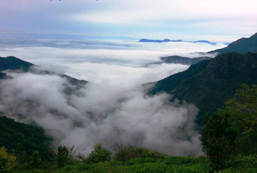 Photo of Others in Kotagiri