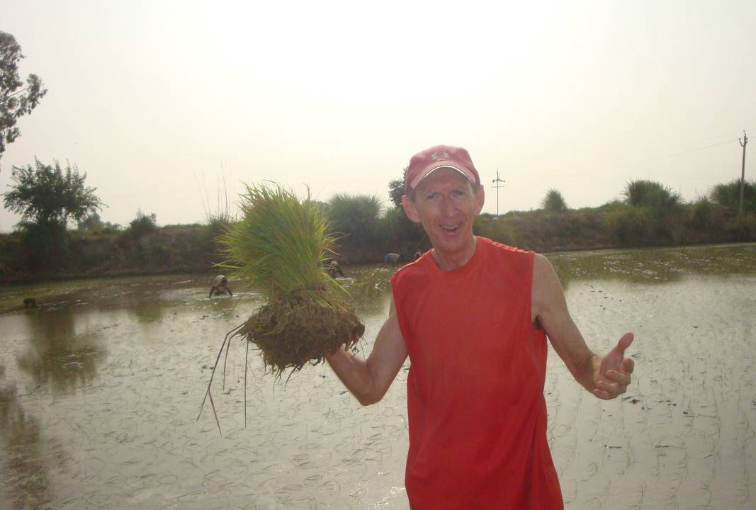 Photo of Others in Rohtak