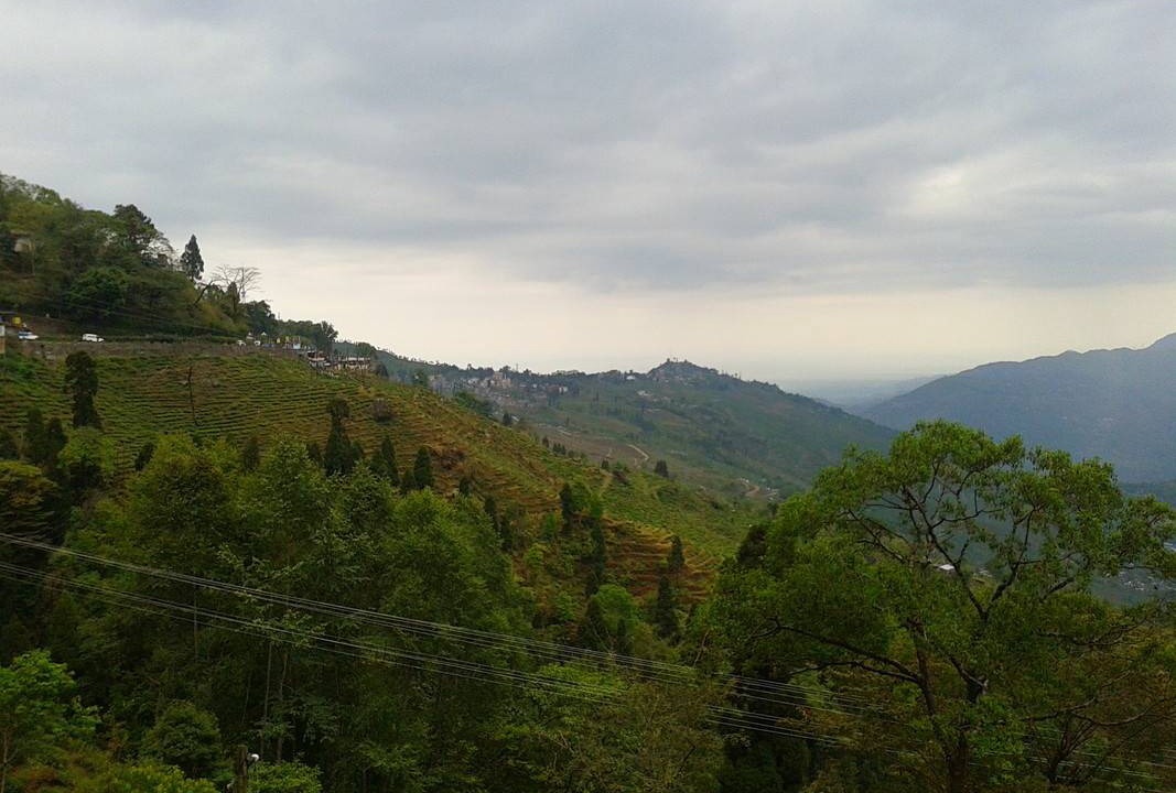 Photo of Others in Kurseong