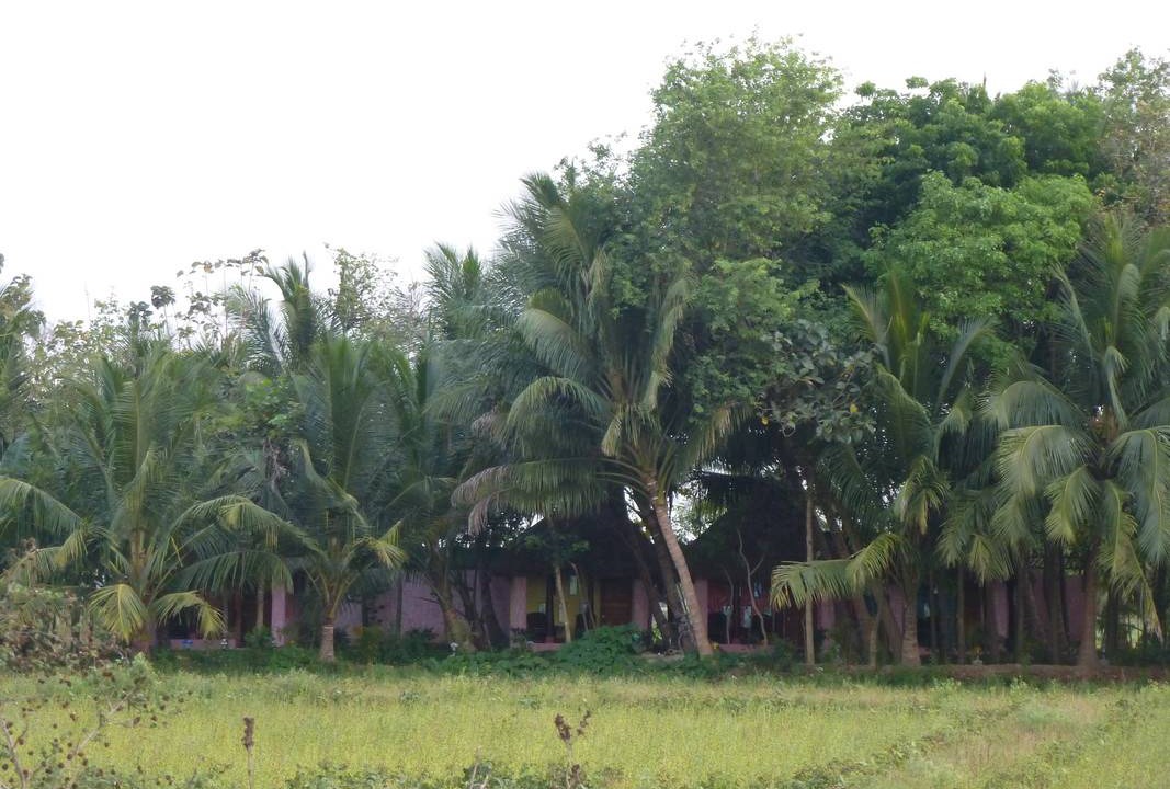Photo of Others in Orattanadu