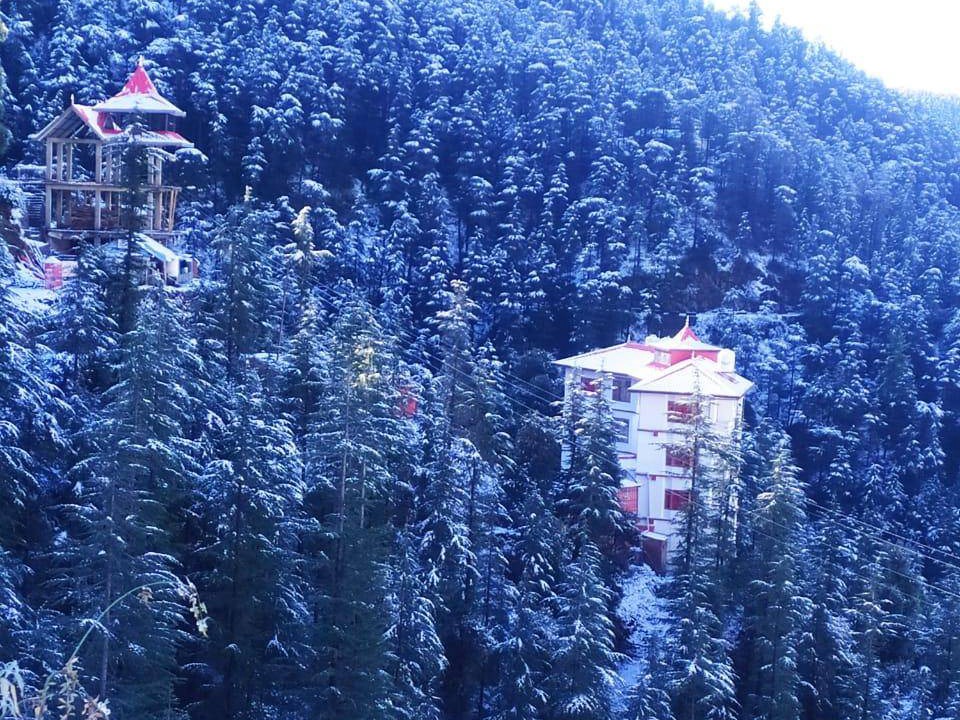 Photo of Others in Shimla