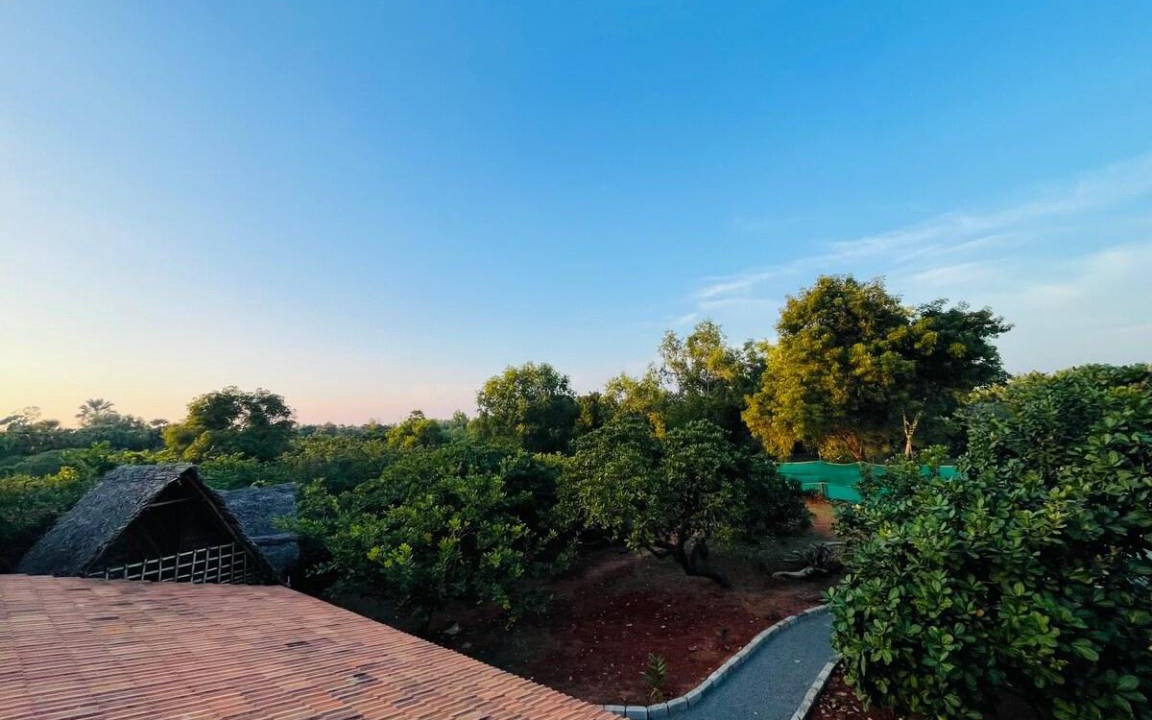 Photo of Others in Auroville