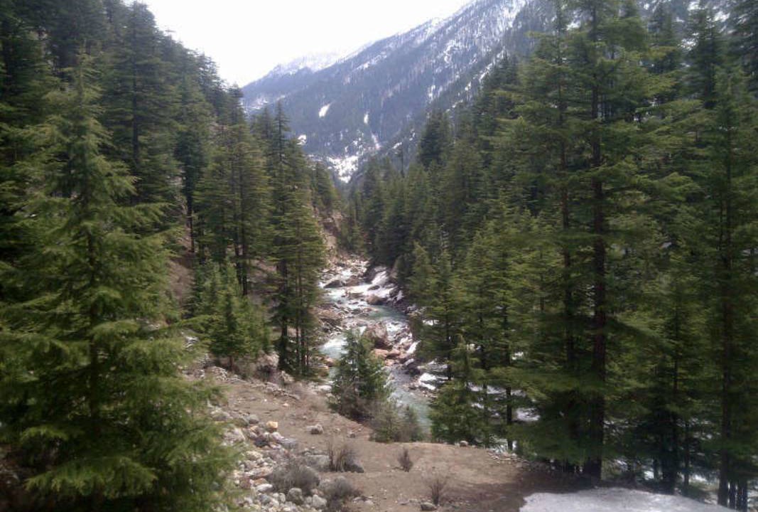 Photo of Others in Sangla