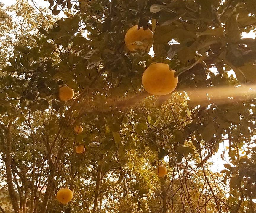 Photo of Others in Geyzing