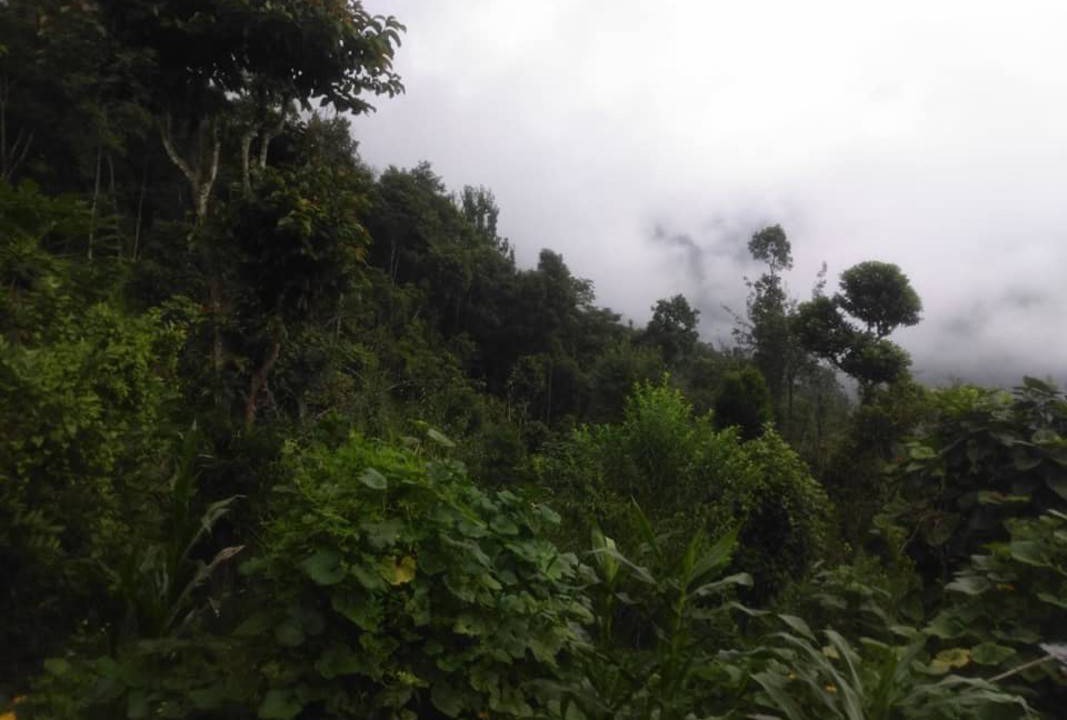 Photo of Others in Rumtek
