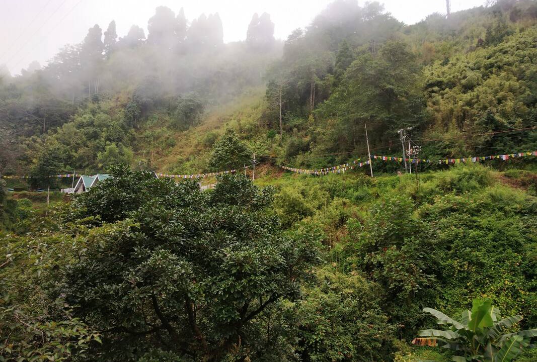 Photo of Others in Darjeeling