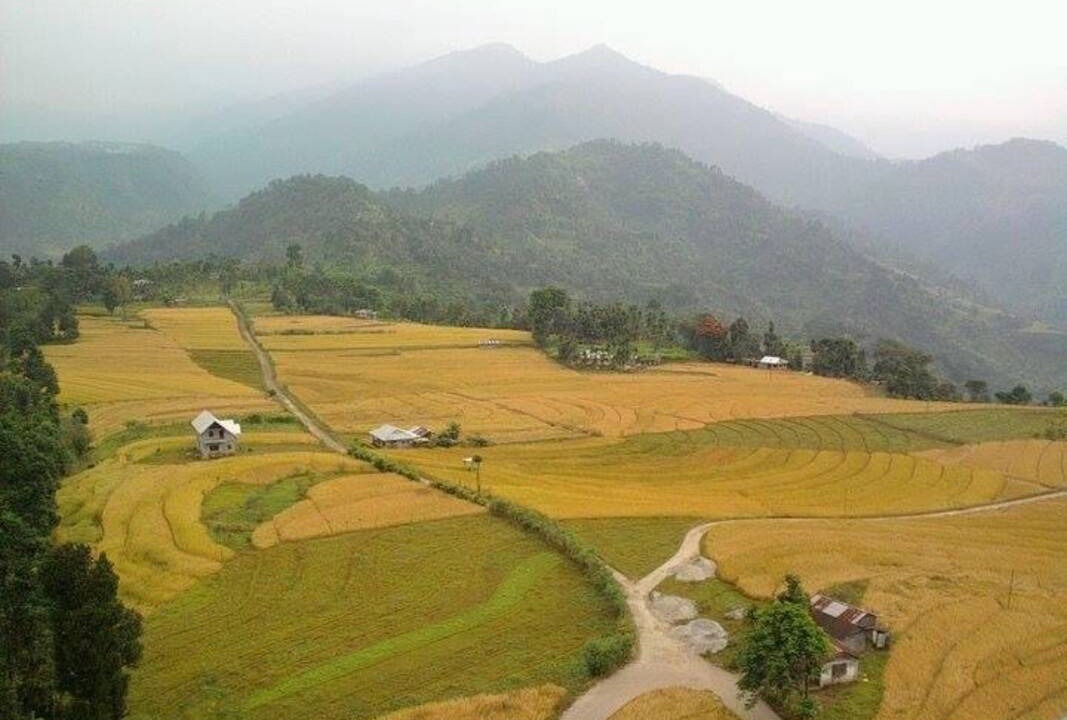 Photo of Others in Kalimpong