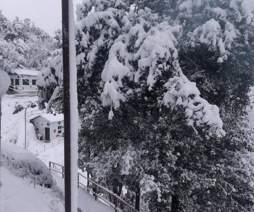 Photo of Others in Kanatal