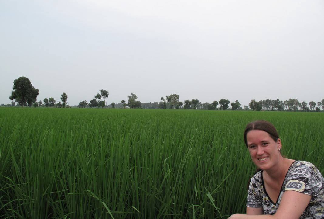 Photo of Others in Rohtak