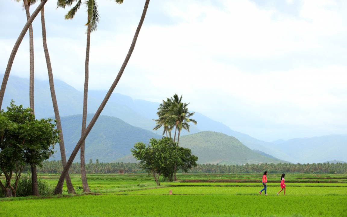 Photo of Others in Thekkady