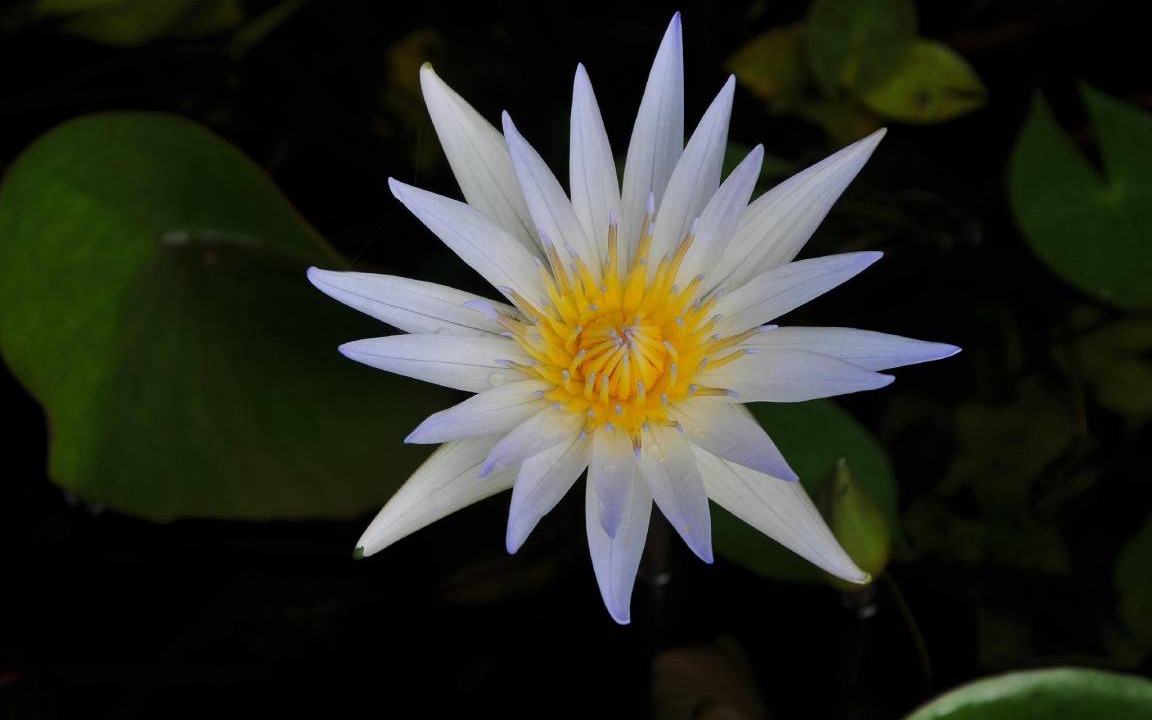 Photo of Others in Kumarakom