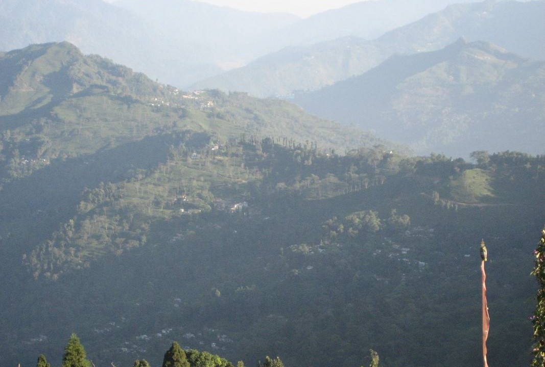 Photo of Others in Tukdah Forest