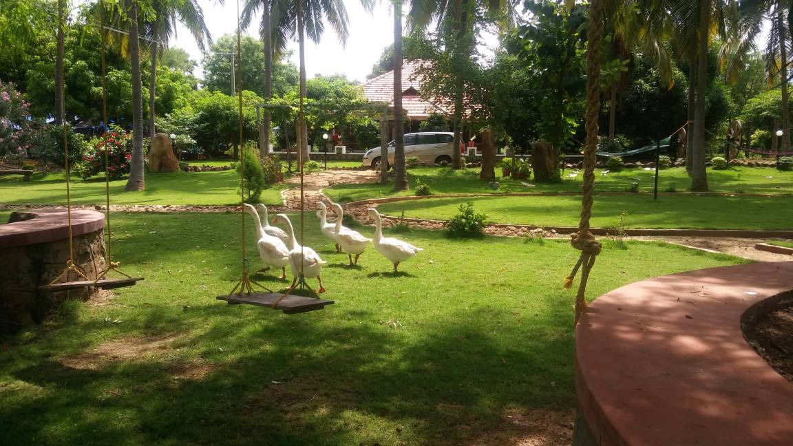 Photo of Others in Chittur