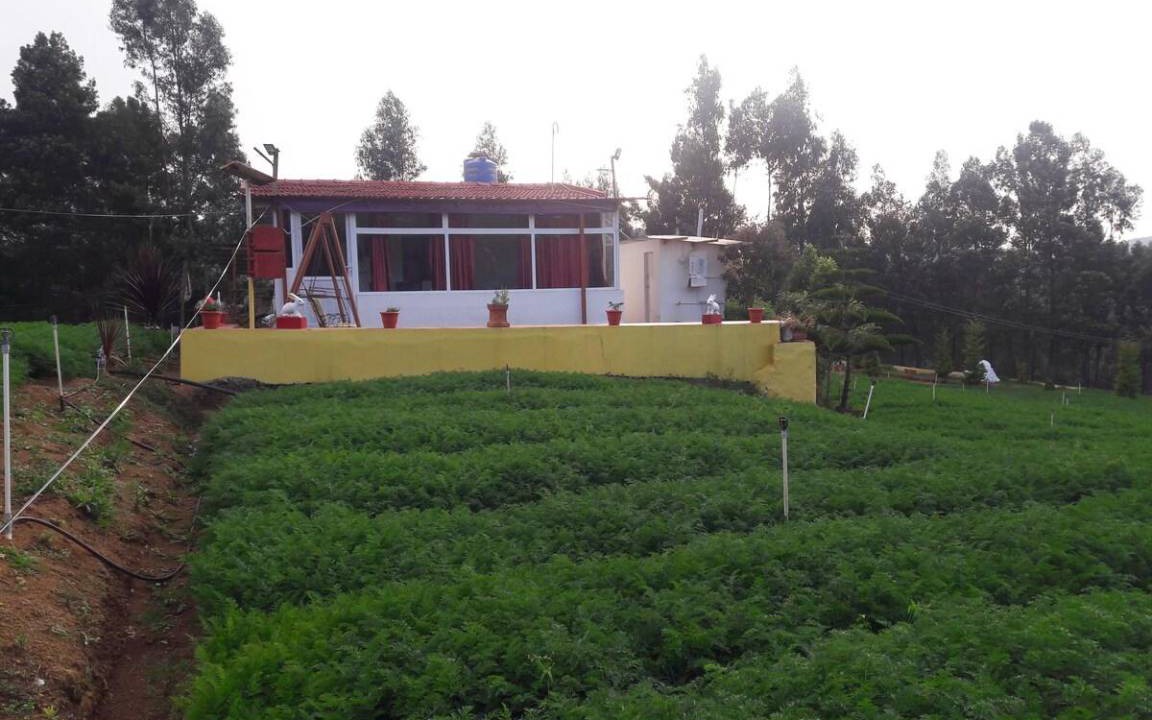 Photo of Others in Masinagudi