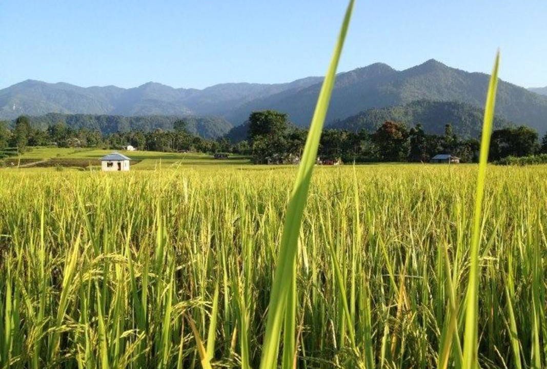 Photo of Others in Kalimpong