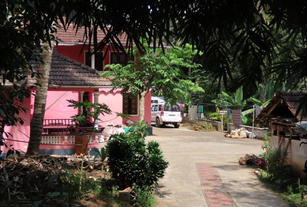 Photo of Others in Sulthan Bathery