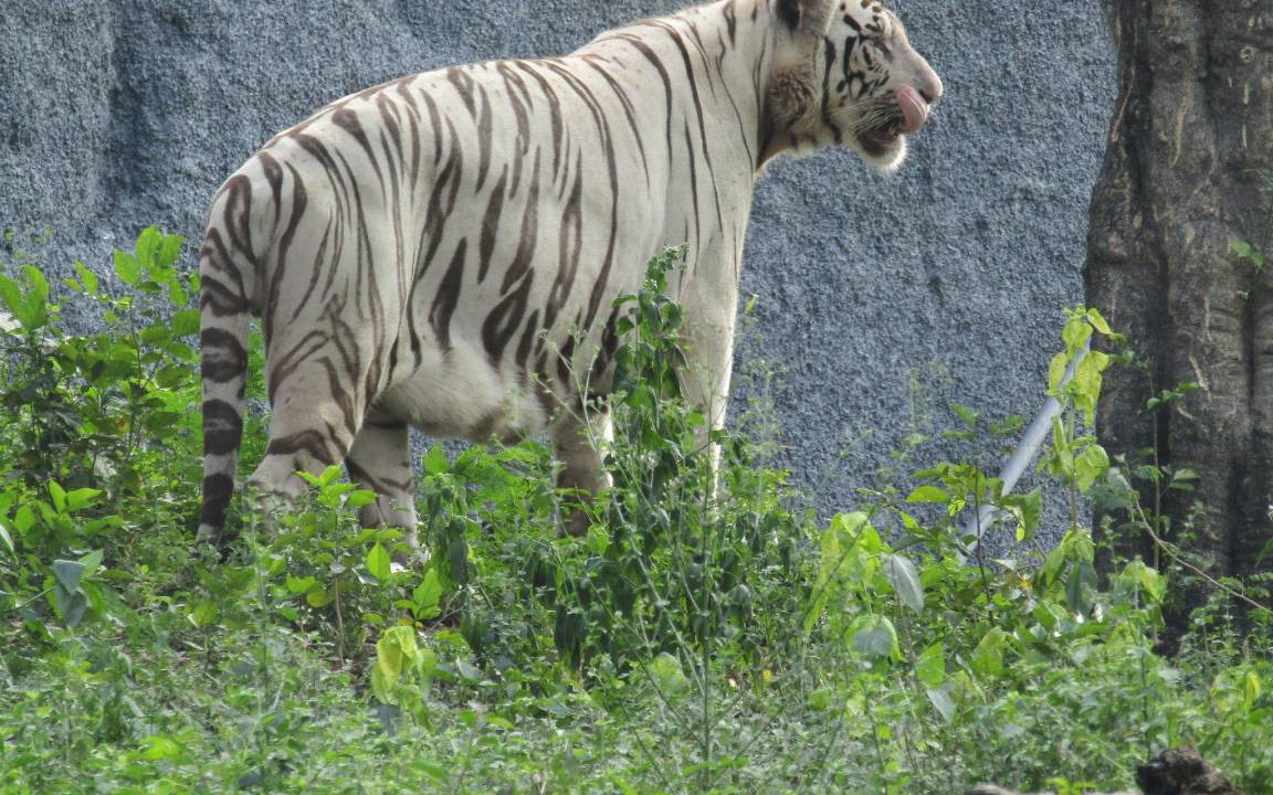 Photo of Others in Chennai