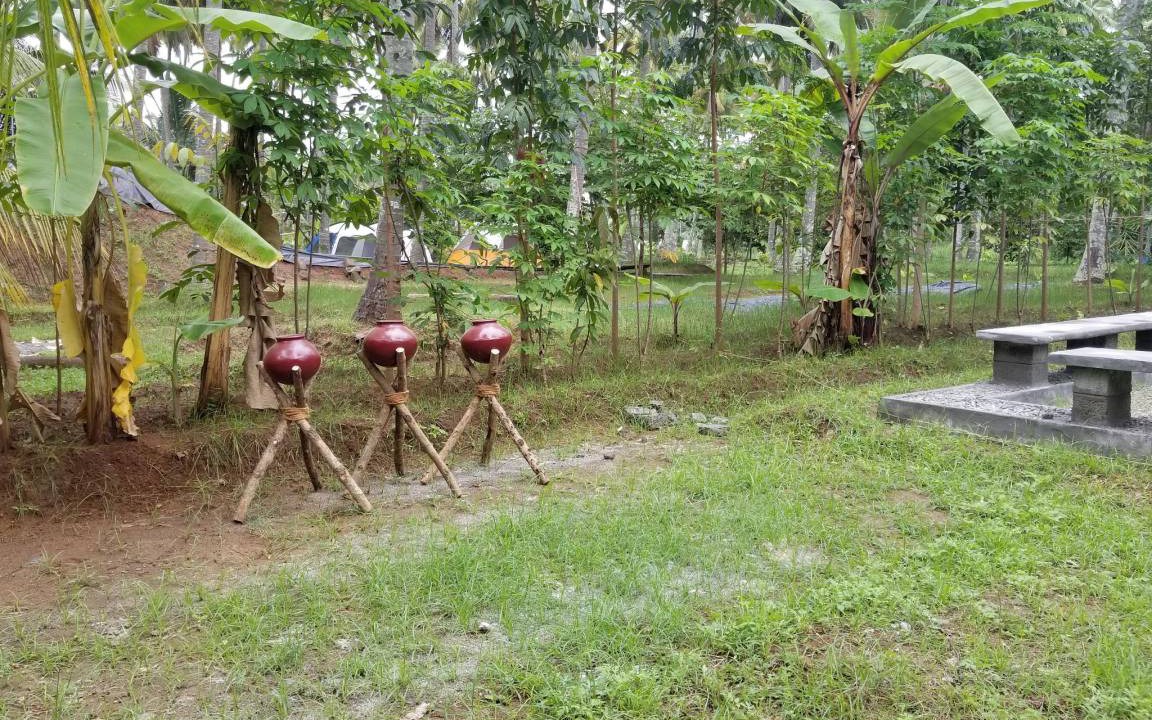 Photo of Others in Anaimalai