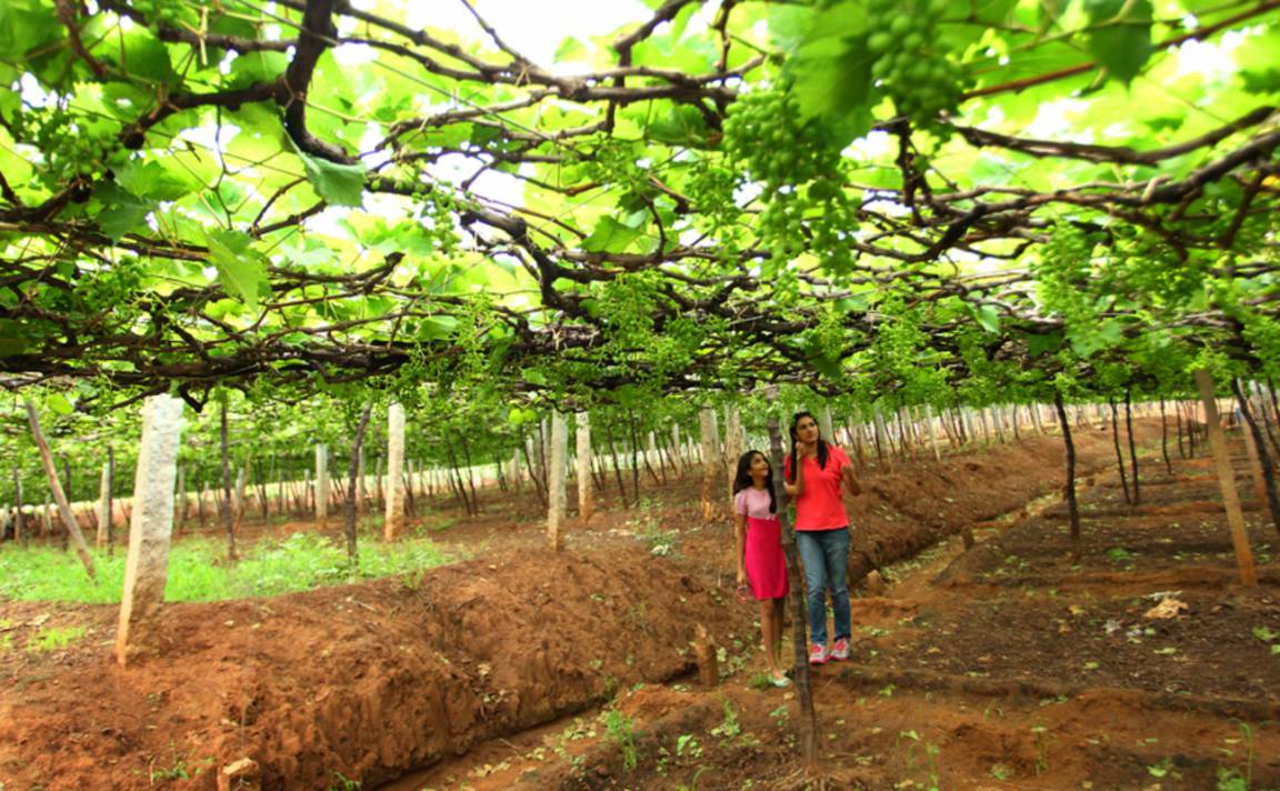 Photo of Others in Thekkady
