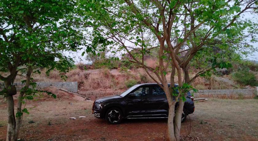 Photo of Others in Yelagiri