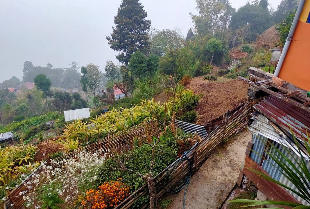 Photo of Others in Lebong and Mineral Spring Tea Garden