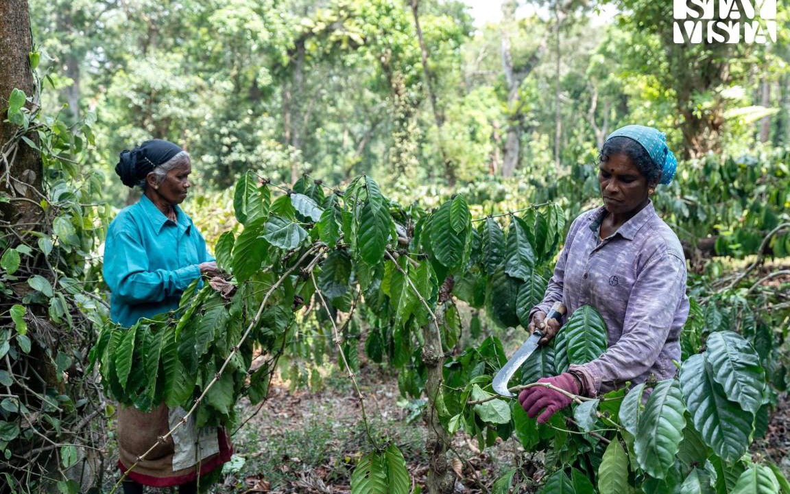 Photo of Others in Suntikoppa