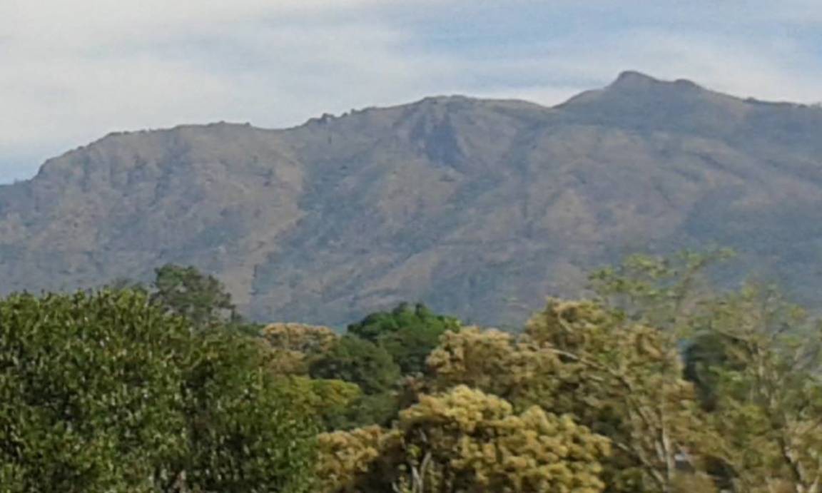 Photo of Others in Udumbanchola