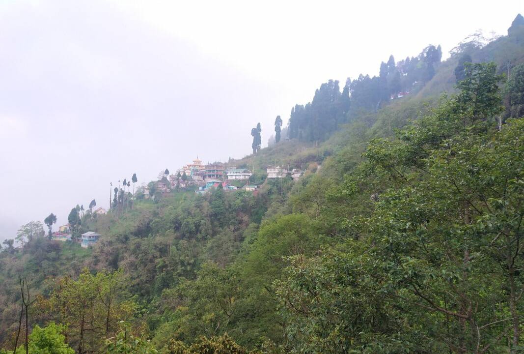 Photo of Others in Darjeeling