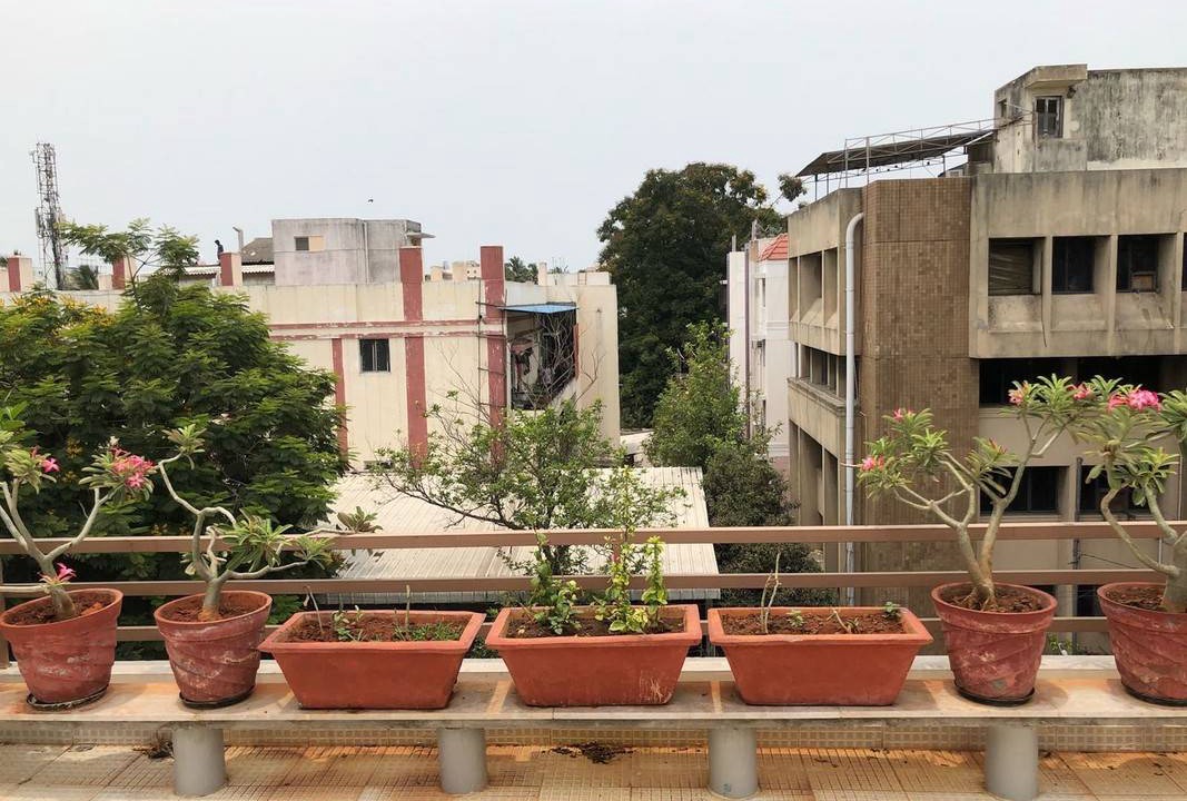Photo of Others in T Nagar