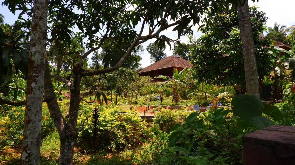 Photo of Others in Kothamangalam