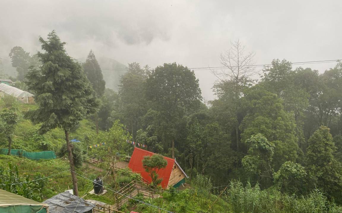 Photo of Others in Singtam Tea Garden