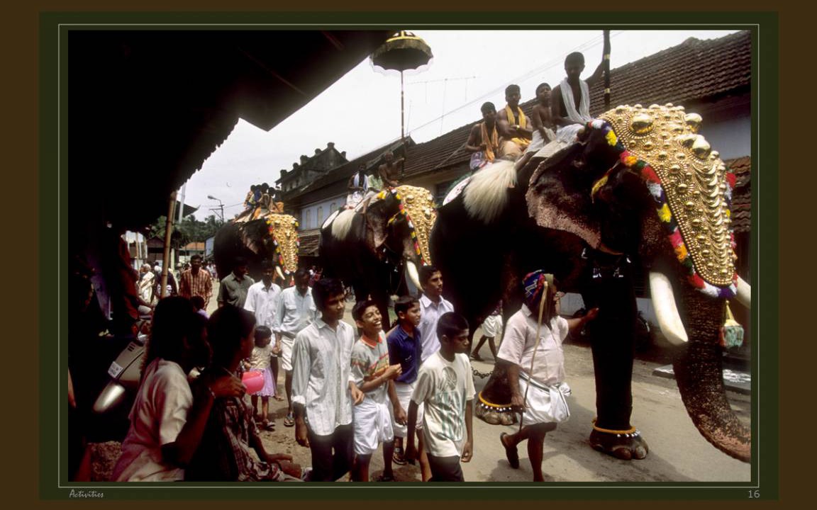 Photo of Others in Alattur