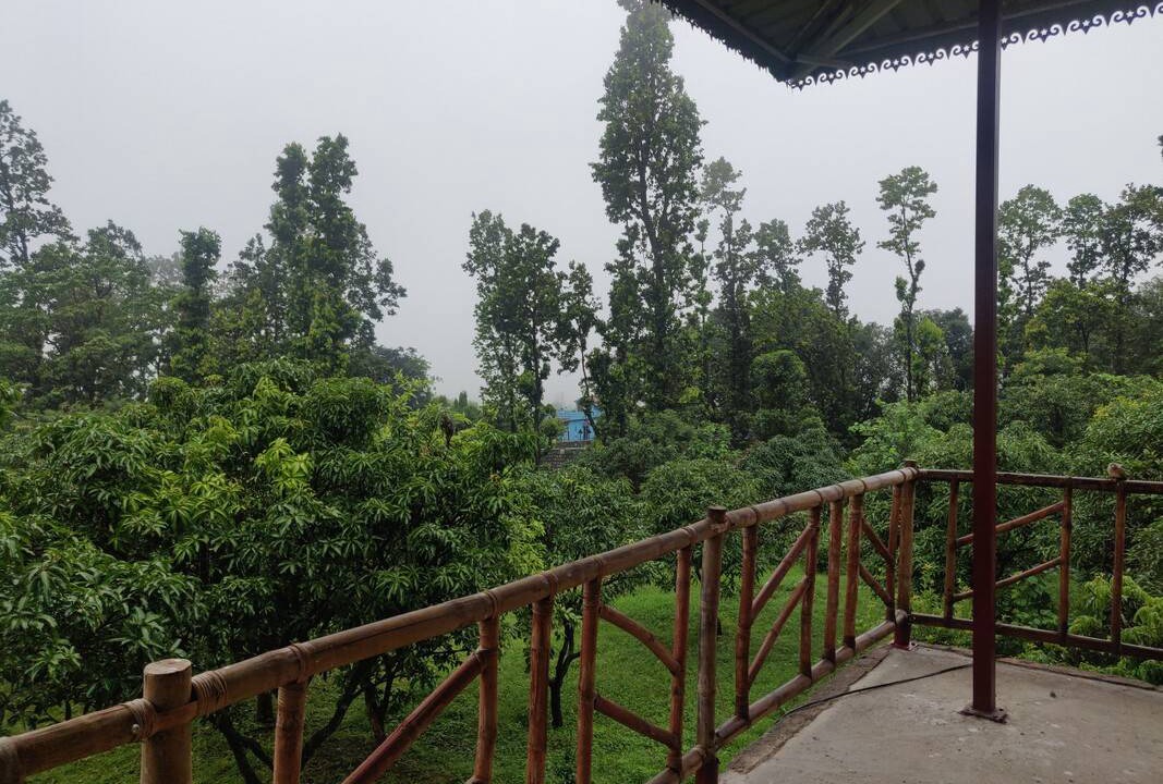 Photo of Others in Dehradun